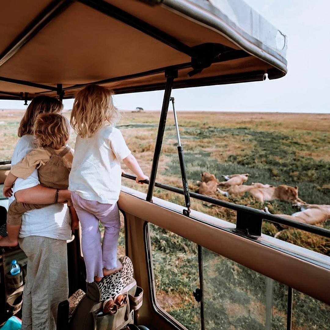 Tanzania wildlife safari experience with giraffe