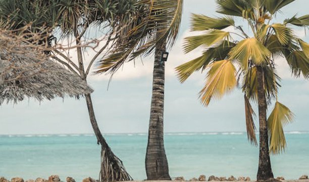 Zanzibar Beaches